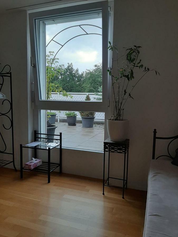 Zimmer In Penthouse-Wohnung Windisch Экстерьер фото